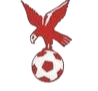 https://img.fcxgl.com/img/football/team/4802d26df935b78bb2fcdbbff36e8864.png