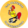 https://img.fcxgl.com/img/football/team/63b0933cc303927659846a4ed54b1522.png