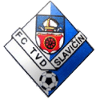 https://img.fcxgl.com/img/football/team/9bbddc3094f6c80a766e3c3eea4e5876.png